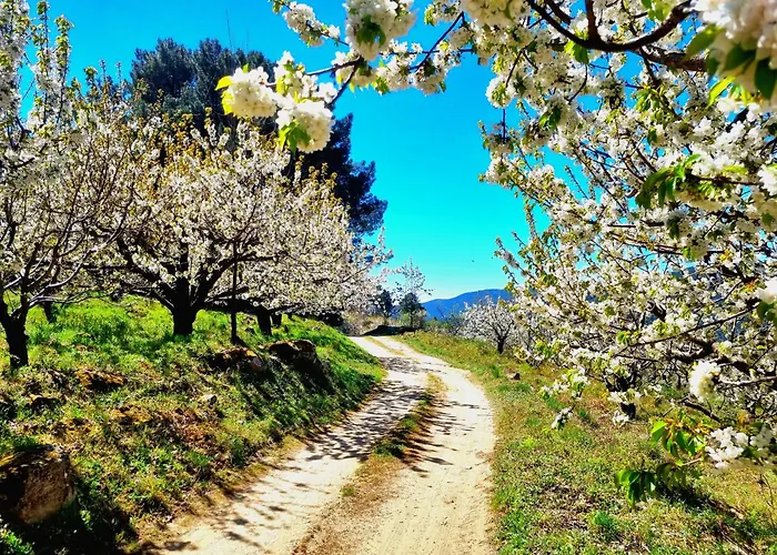 Asomadilla By #Cherrygredos