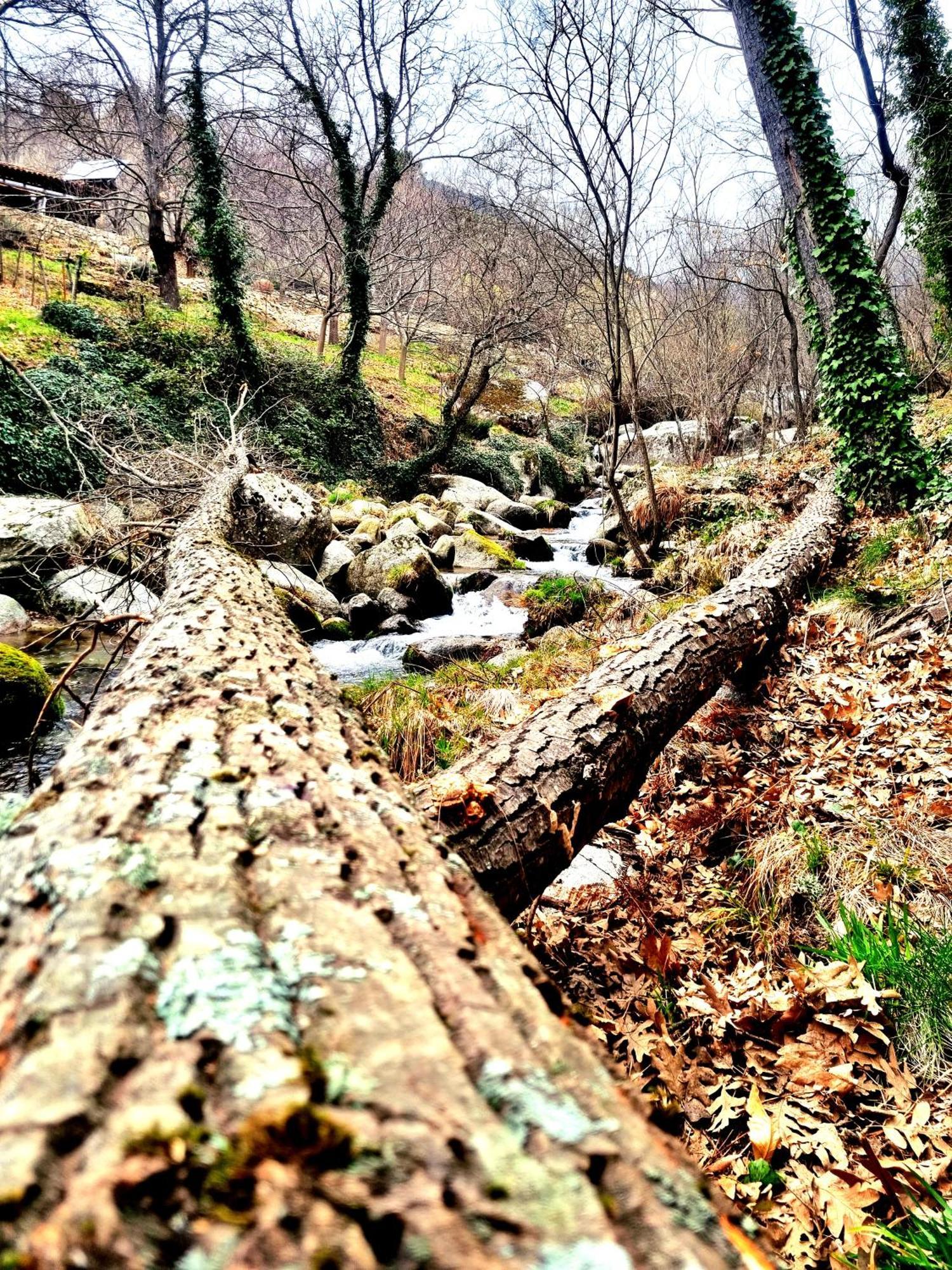Asomadilla By #cherrygredos El Arenal (Castile and Leon)