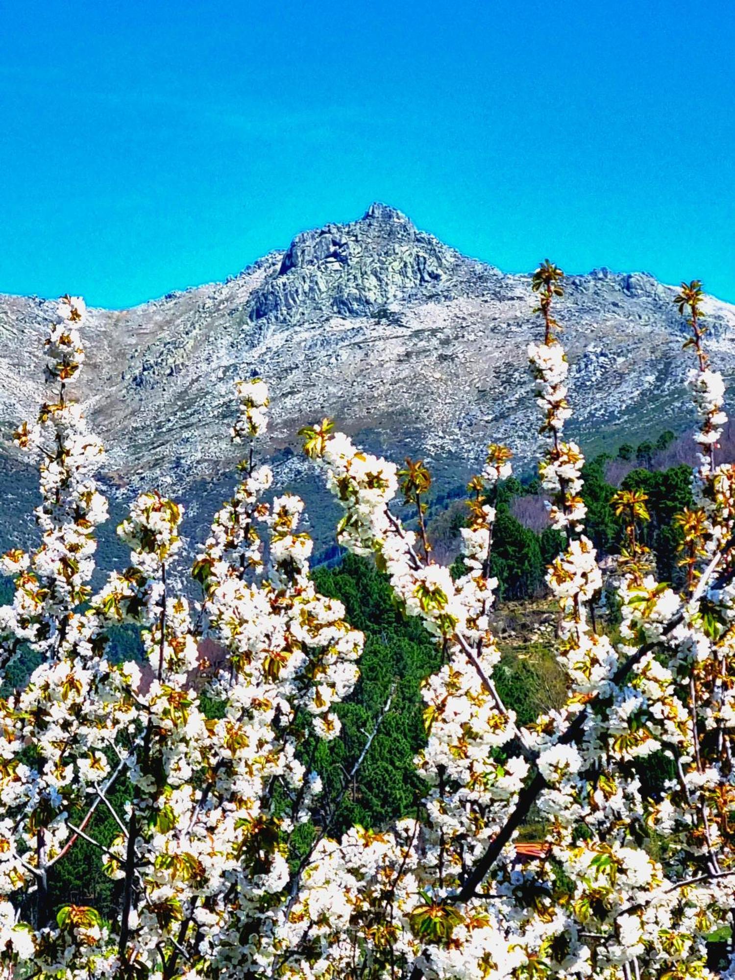 Asomadilla By #cherrygredos Apartment El Arenal (Castile and Leon)